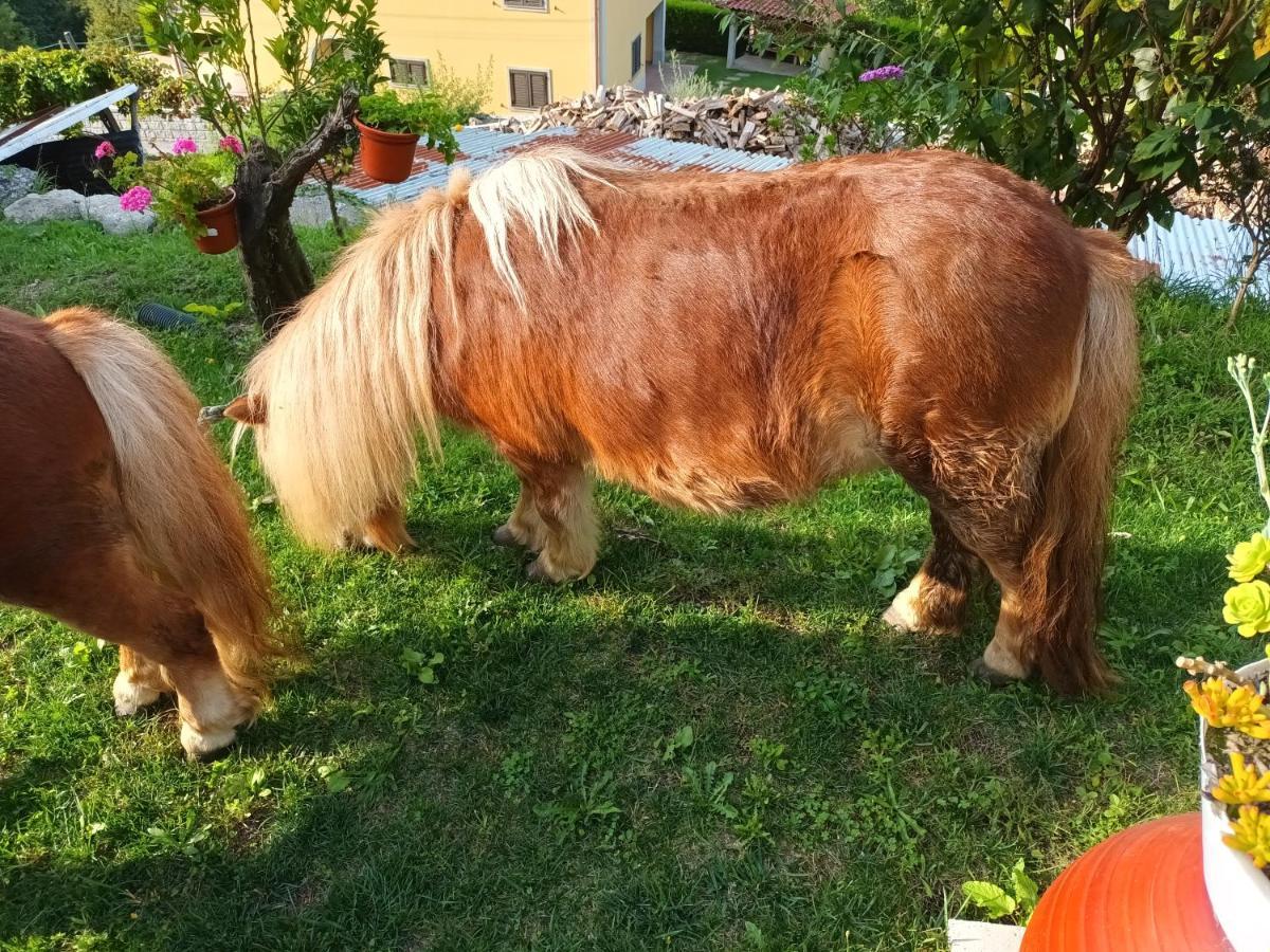 Casa De Ferrapilhe Villa Paranhos  Dış mekan fotoğraf